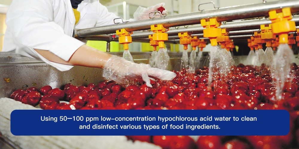 Generador de ácido hipocloroso para alimentos / sal de mesa (NaCl)