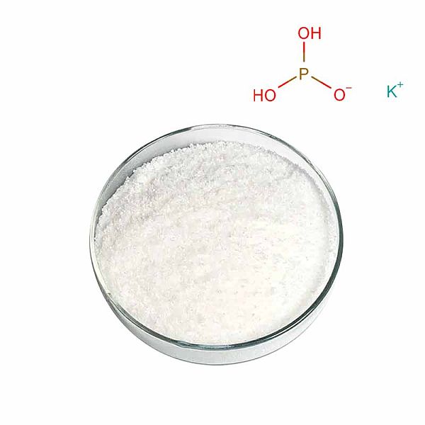 Monopotassium phosphite CAS#13977-65-6