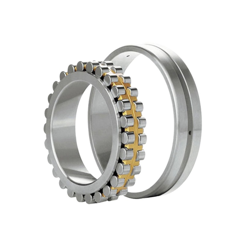 Double Row Cylindrical Roller Bearings