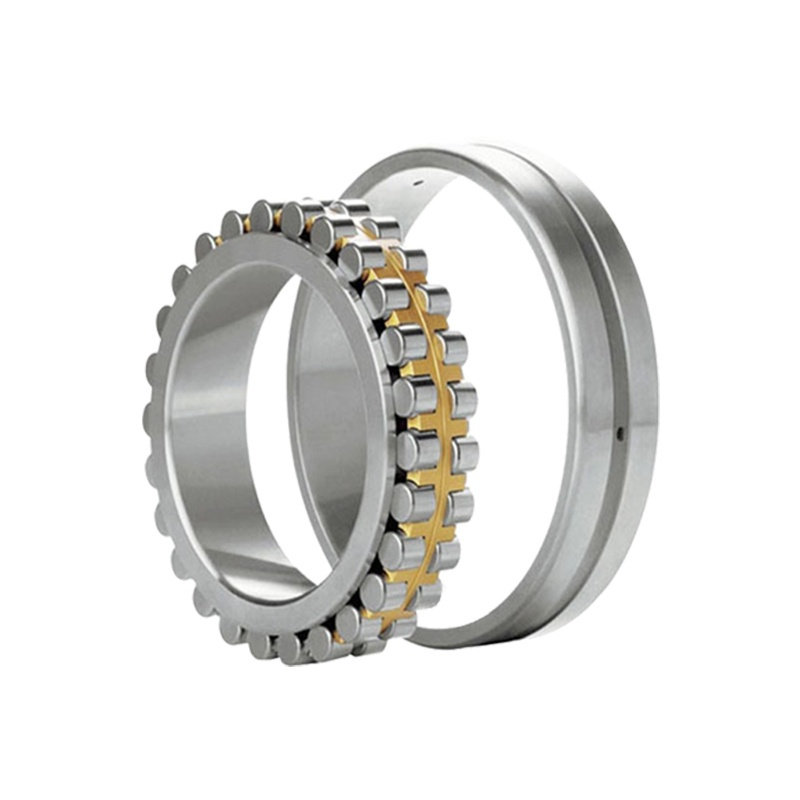 Double Row Cylindrical Roller Bearings
