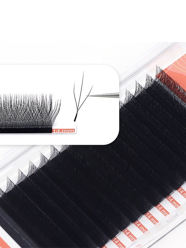 Sea King Eyelashes 3D