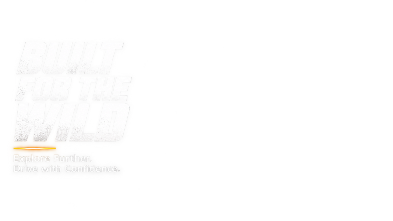bn3