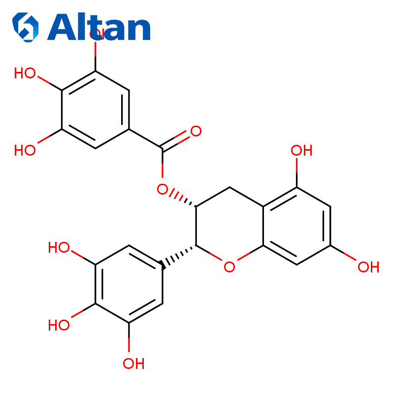 (-)-Epigallocatechin gallate