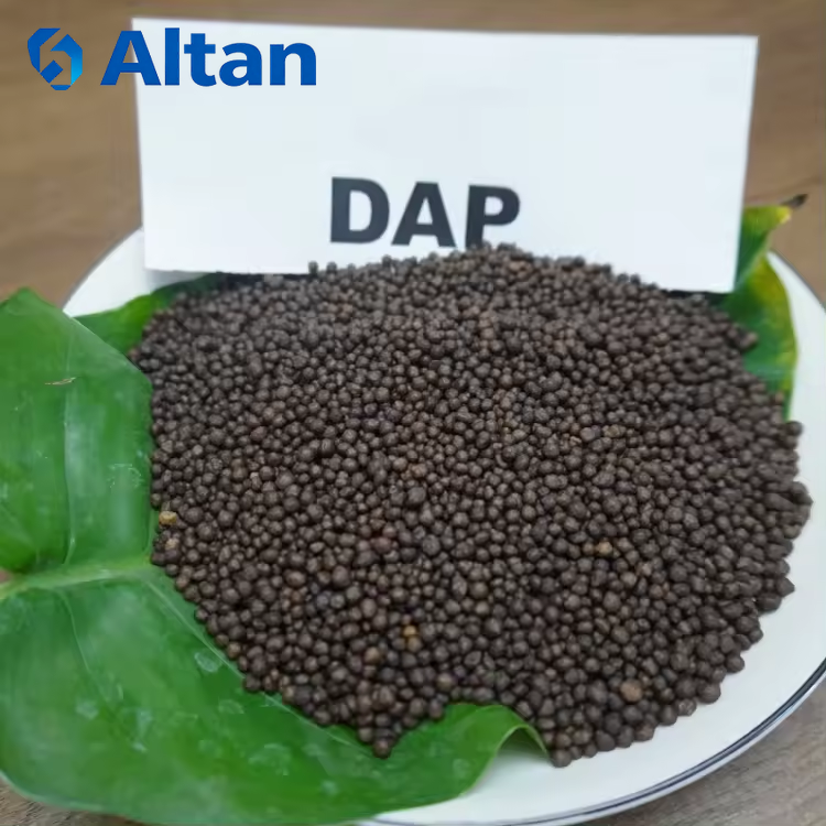 DAP