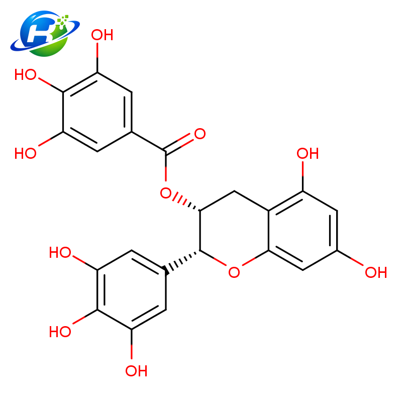 (-)-Epigallocatechin Gallate