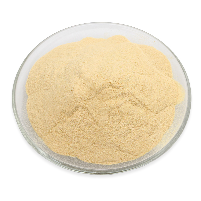 Yeast Extract