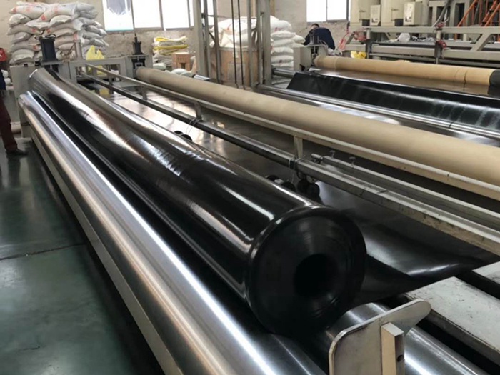 HDPE Geomembrane