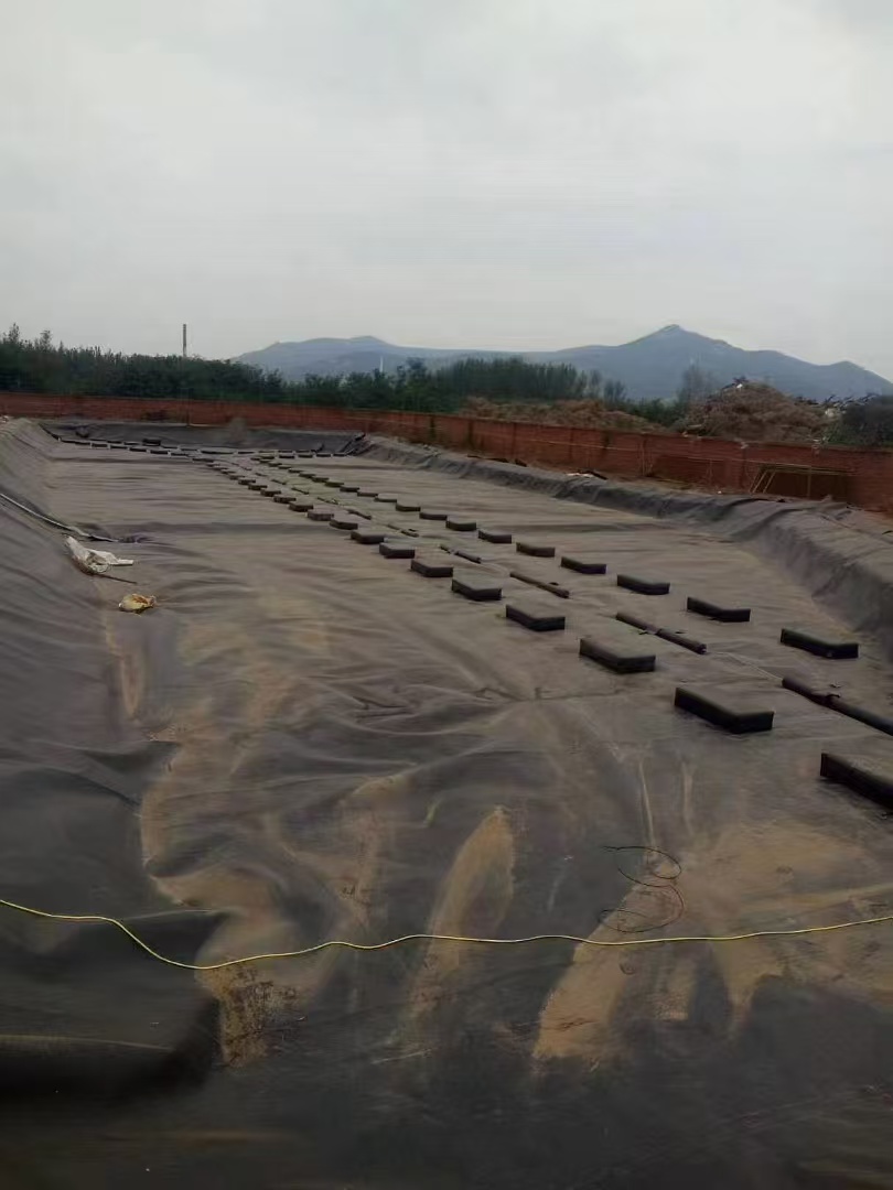LDPE Geomembrane