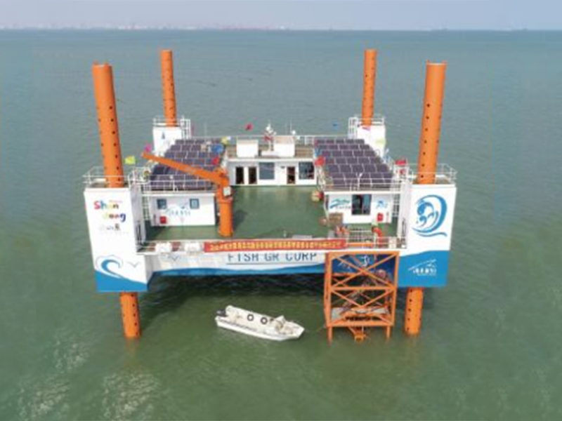 Self-elevating breeding platform