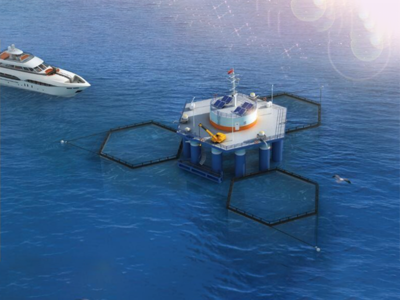Suspension farming platform