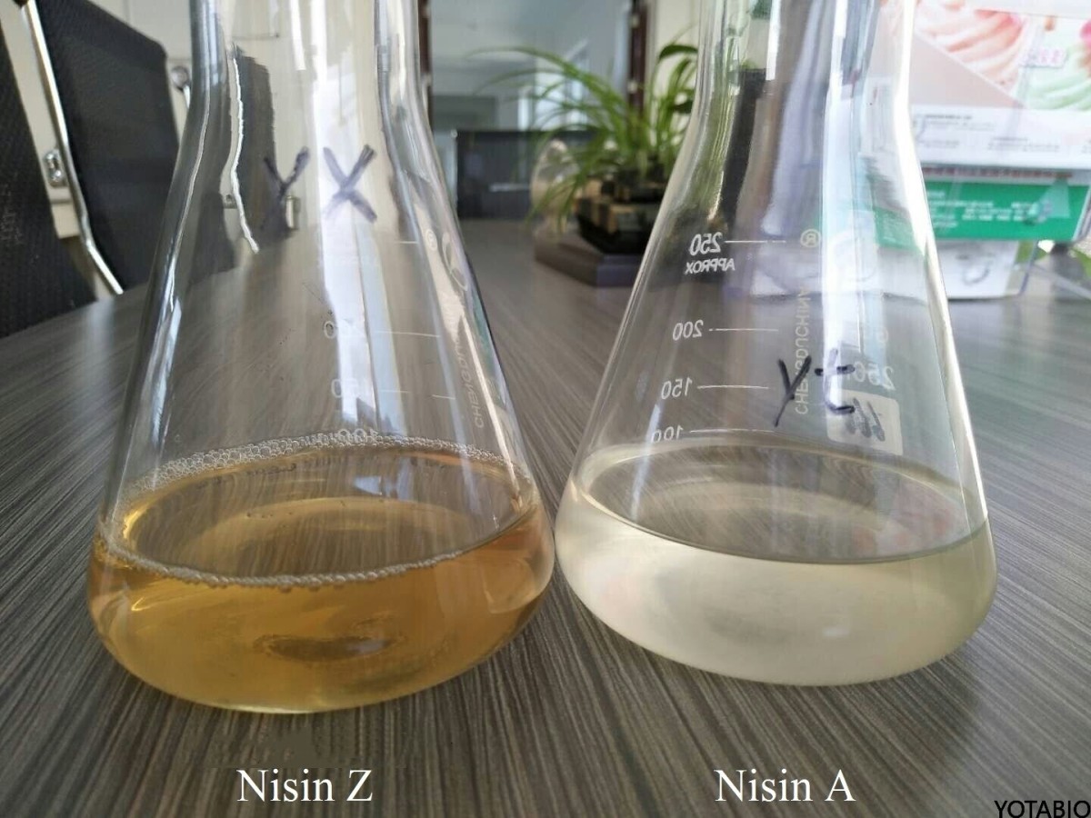 1% nisin A and Nisin z solution.jpg The difference between Nisin A and Nisin Z
