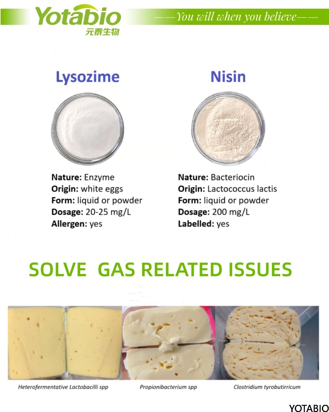 QQ图片20240530164141_副本_副本.png The difference between Nisin A and Nisin Z