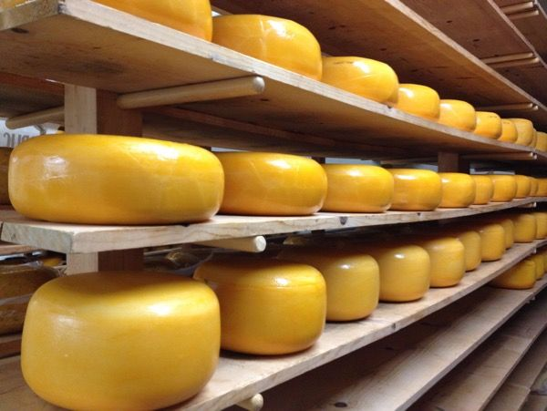 How to caculate the dosage of chymosin in cheese making