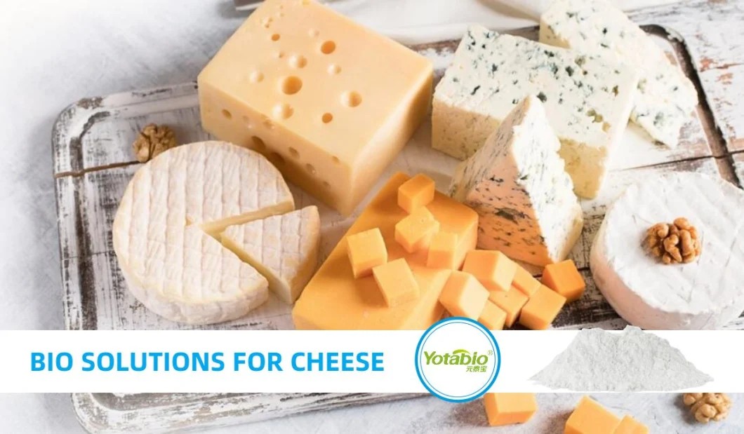 20231222115139162.webp Yotaren 750 Coagulant Microbial Rennet for Cheese Production