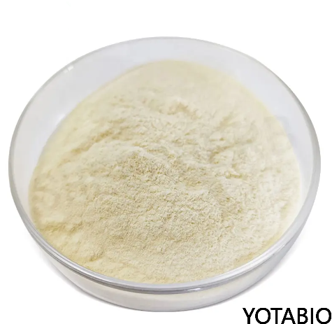 Harina de trigo fermentada
