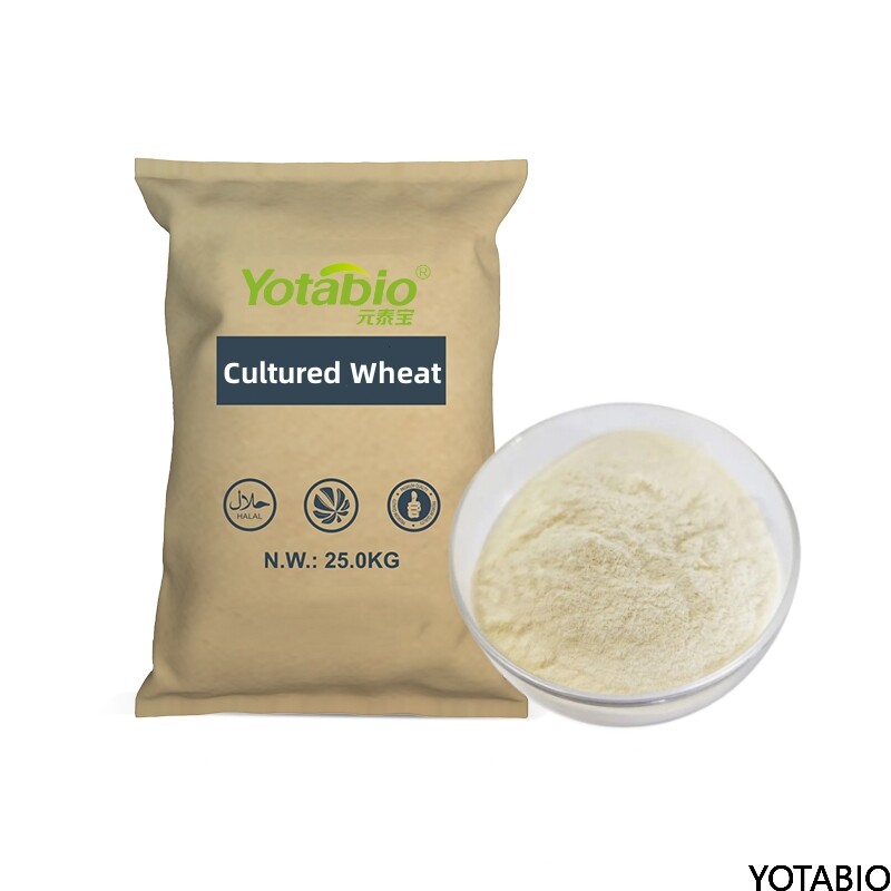 Harina de trigo fermentada