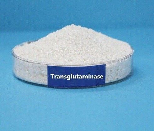 Transglutaminasa