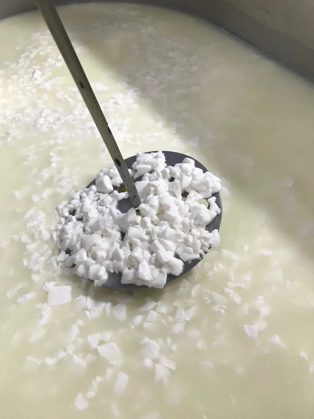 20231222115139529.webp Yotaren 750 Coagulant Microbial Rennet for Cheese Production