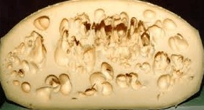 20231222131252862.jpg Late swelling of cheeses: how, why, what affects?