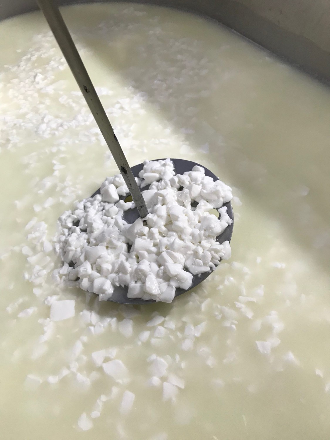 YOTAREN 750 Coagulante Cuajo Microbiano para la Producción de Queso