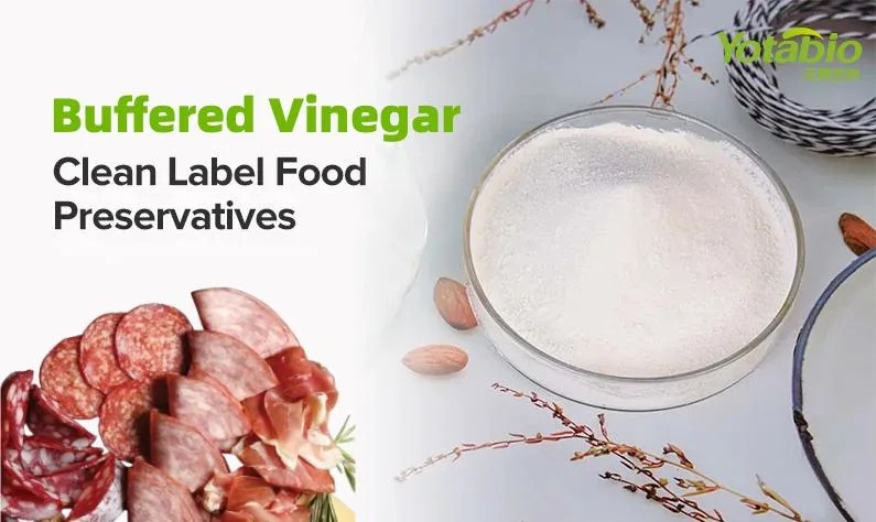 Clean Label Natural Antimicrobial Buffered Vinegar Freshmix BV as a Food Preservative