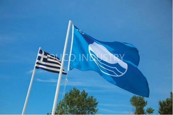 Blue flag.jpg