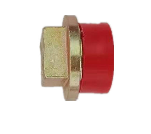 Magnetic Csrew Plug VG2600150108