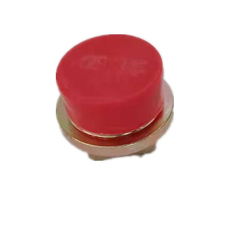 Magnetic Csrew Plug VG2600150108