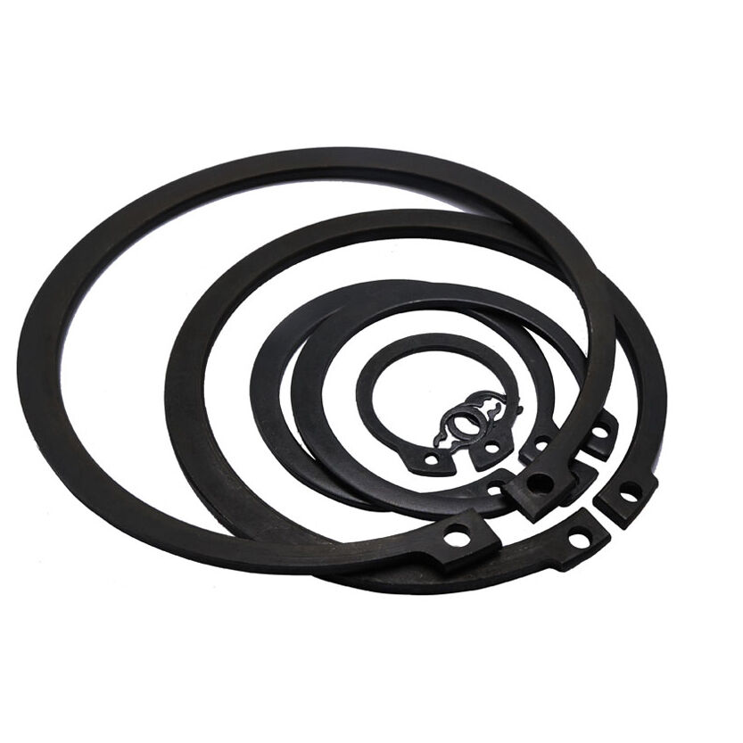 Retaining Ring WG1560030012
