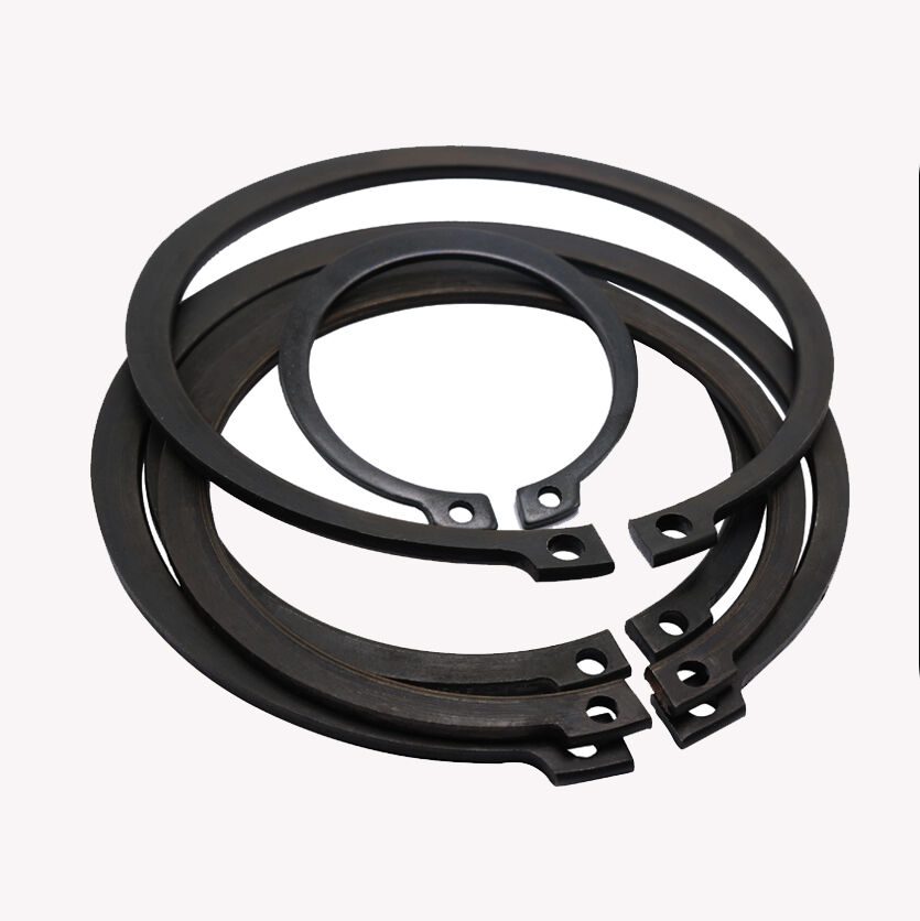 Retaining Ring WG1560030012