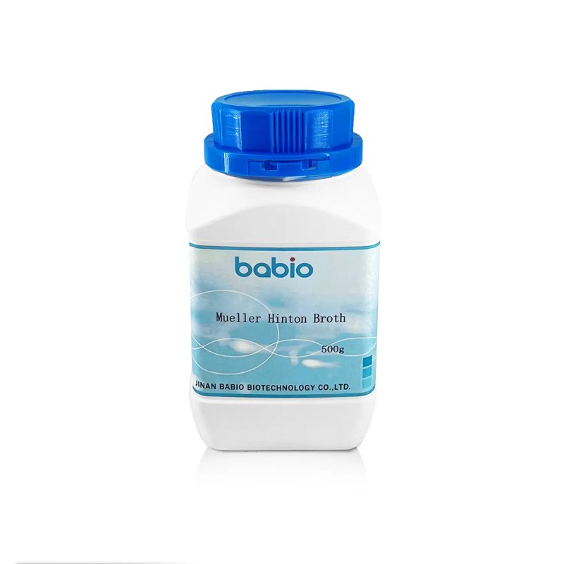 Mueller Hinton Broth: The Global Standard for Antibiotic Susceptibility Testing