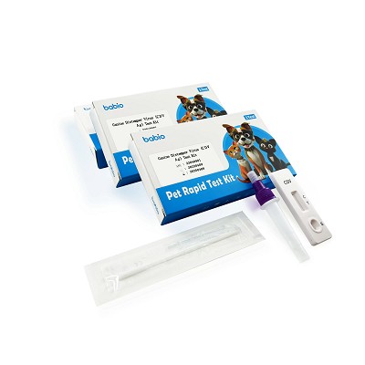BABIO Introduces Rapid Canine Distemper Virus Antigen (CDV Ag) Detection Kit