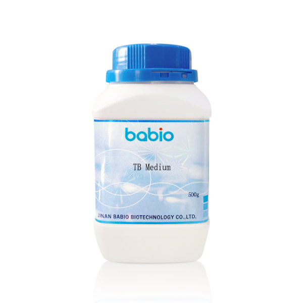 TB Medium (Terrific Broth)