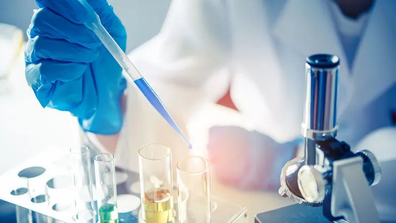 Nutrient Agar Supports Everyday Microbiology Workflows