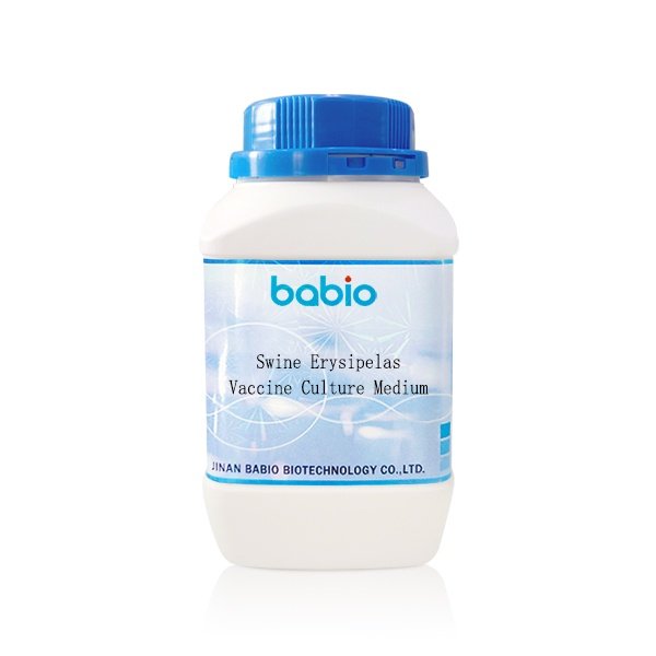 Swine Erysipelas Vaccine Medium
