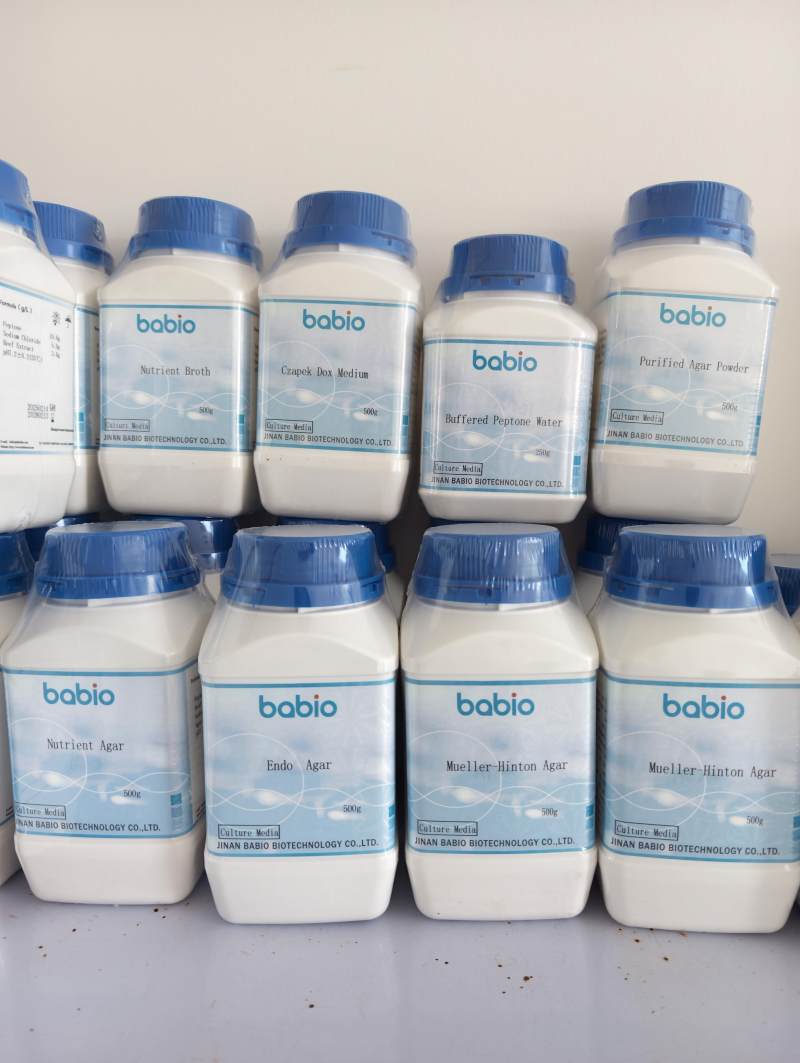 Dehydrated Culture Media for Microbiology Laboratories | BABIO