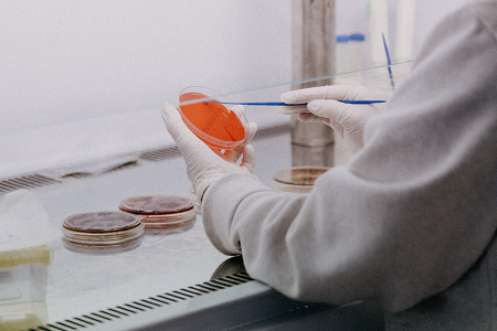 Gélose glucosée à la pomme de terre (USP) : milieu de culture déshydraté pour le dénombrement des levures et des moisissures | BABIO