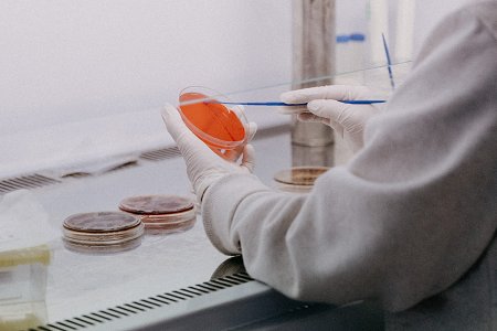Potato Dextrose Agar (USP): Dehydrated Culture Media for Yeast and Mold Enumeration | BABIO