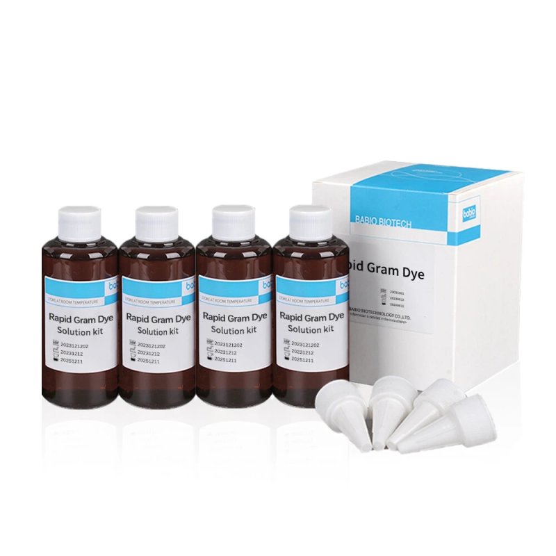 Gram Stain Kit by BABIO: Essential Reagents for Microbiology Laboratories