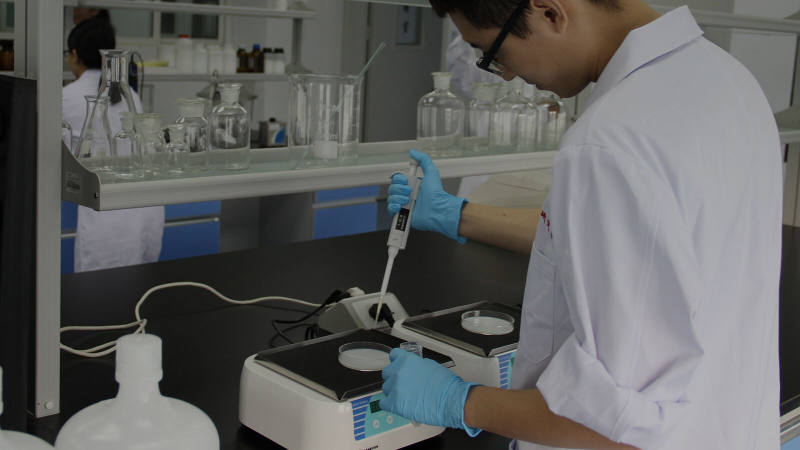Plate Count Agar for Reliable Microbial Enumeration