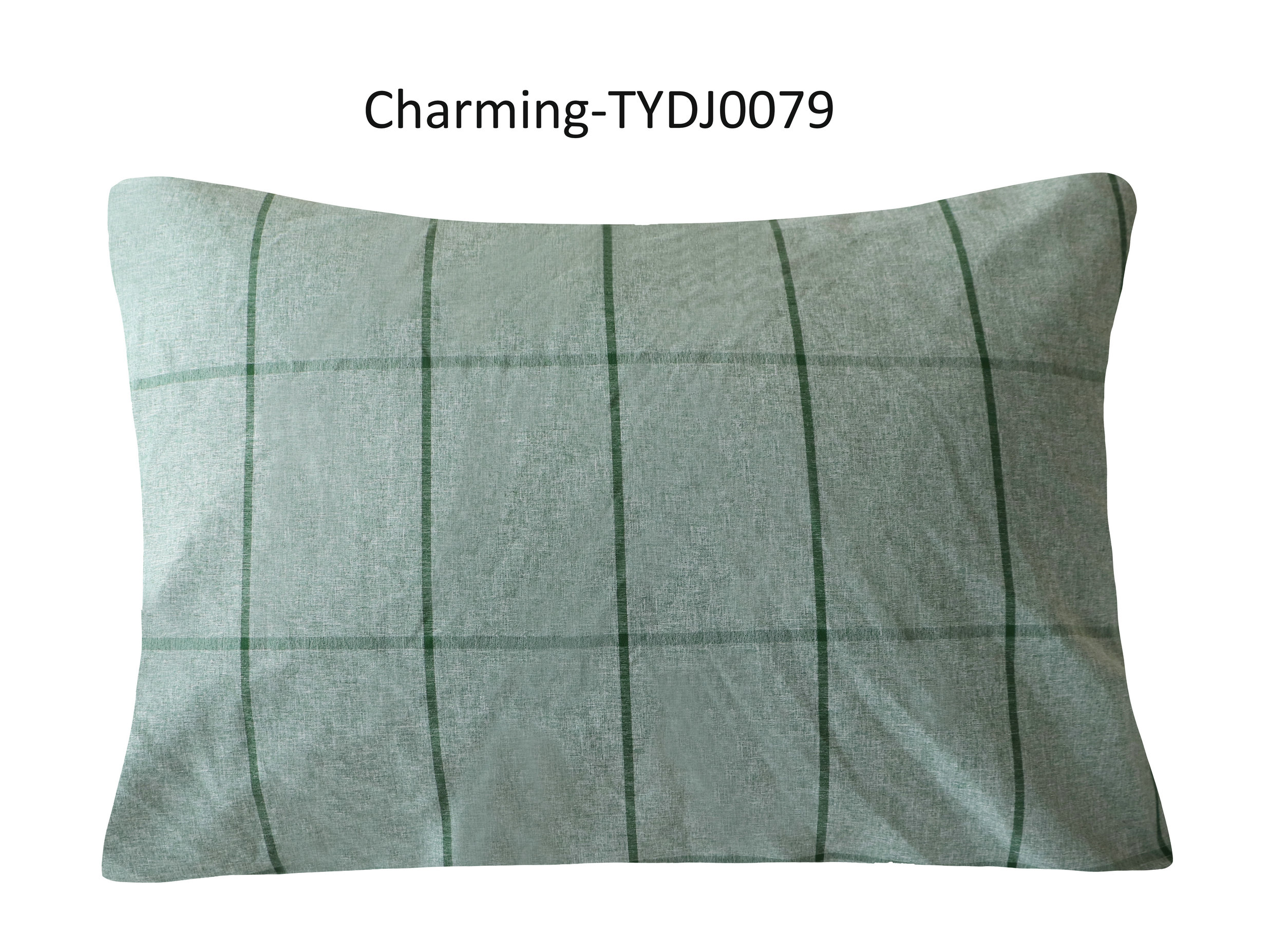 TYDJ0079