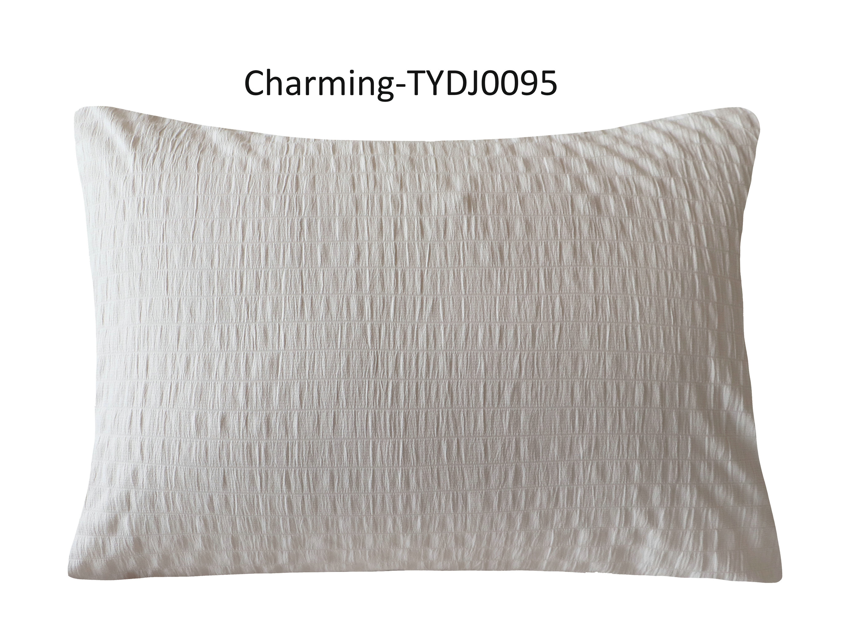 TYDJ0095