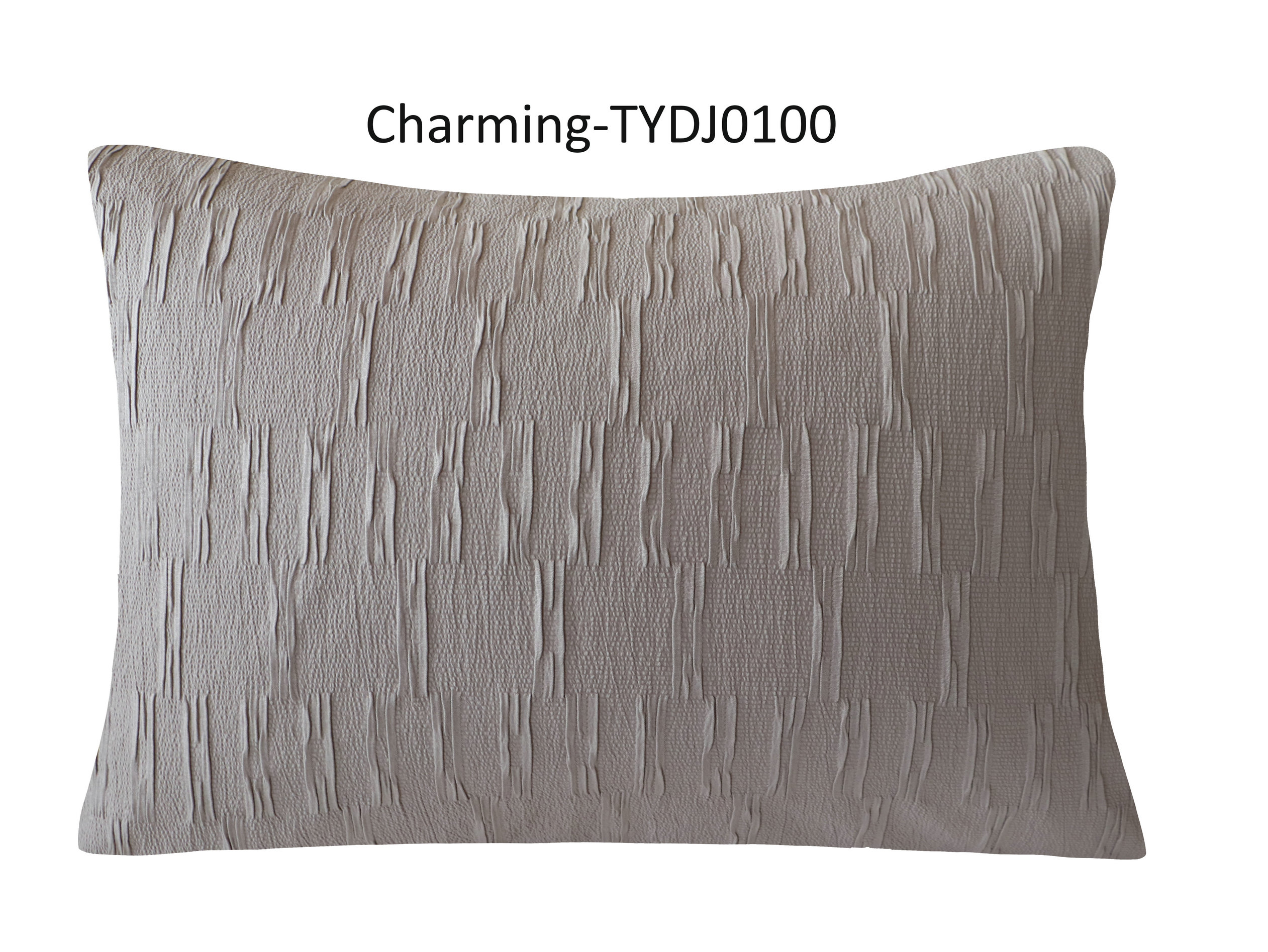 TYDJ0100