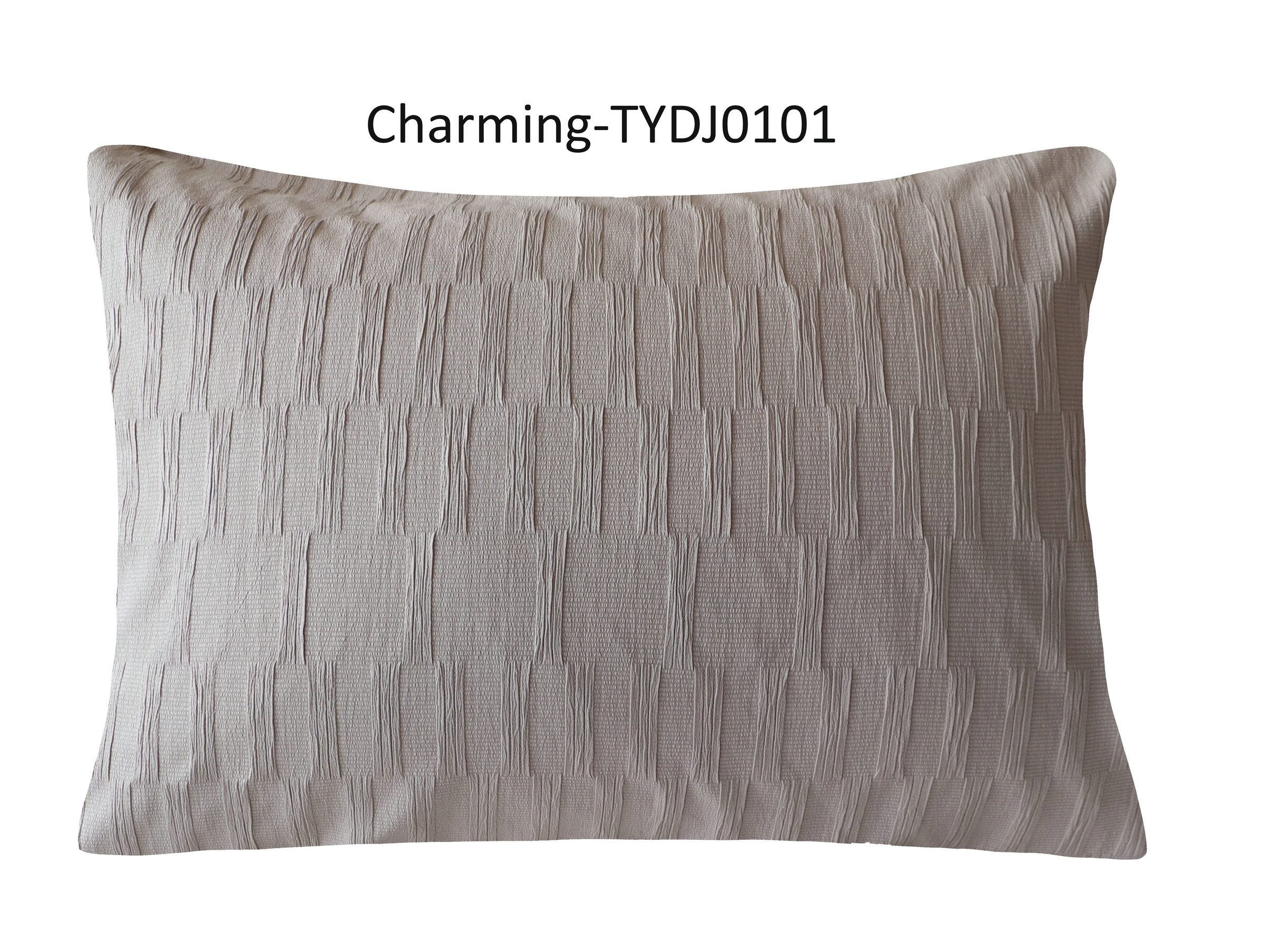 TYDJ0101