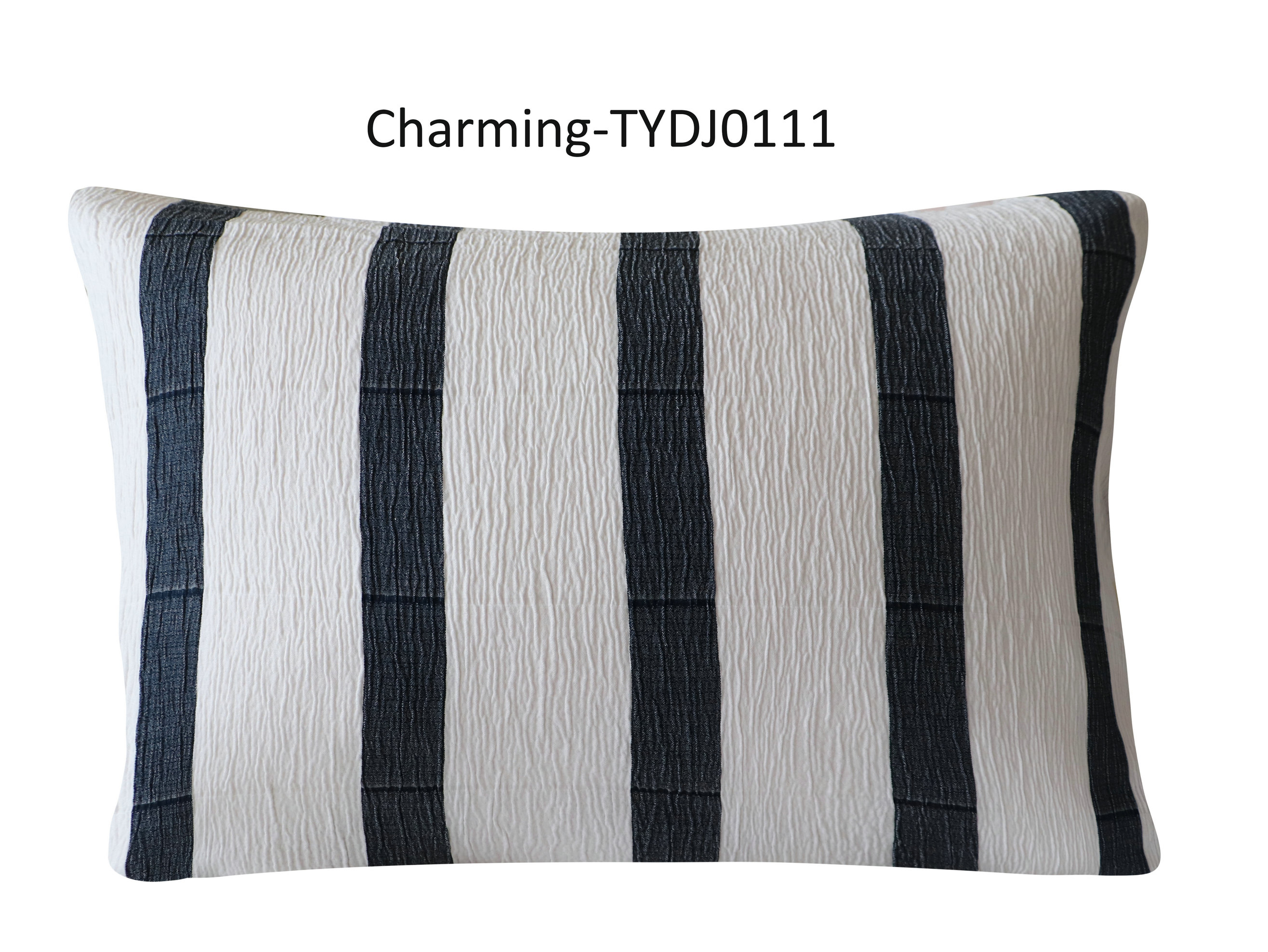 TYDJ0111