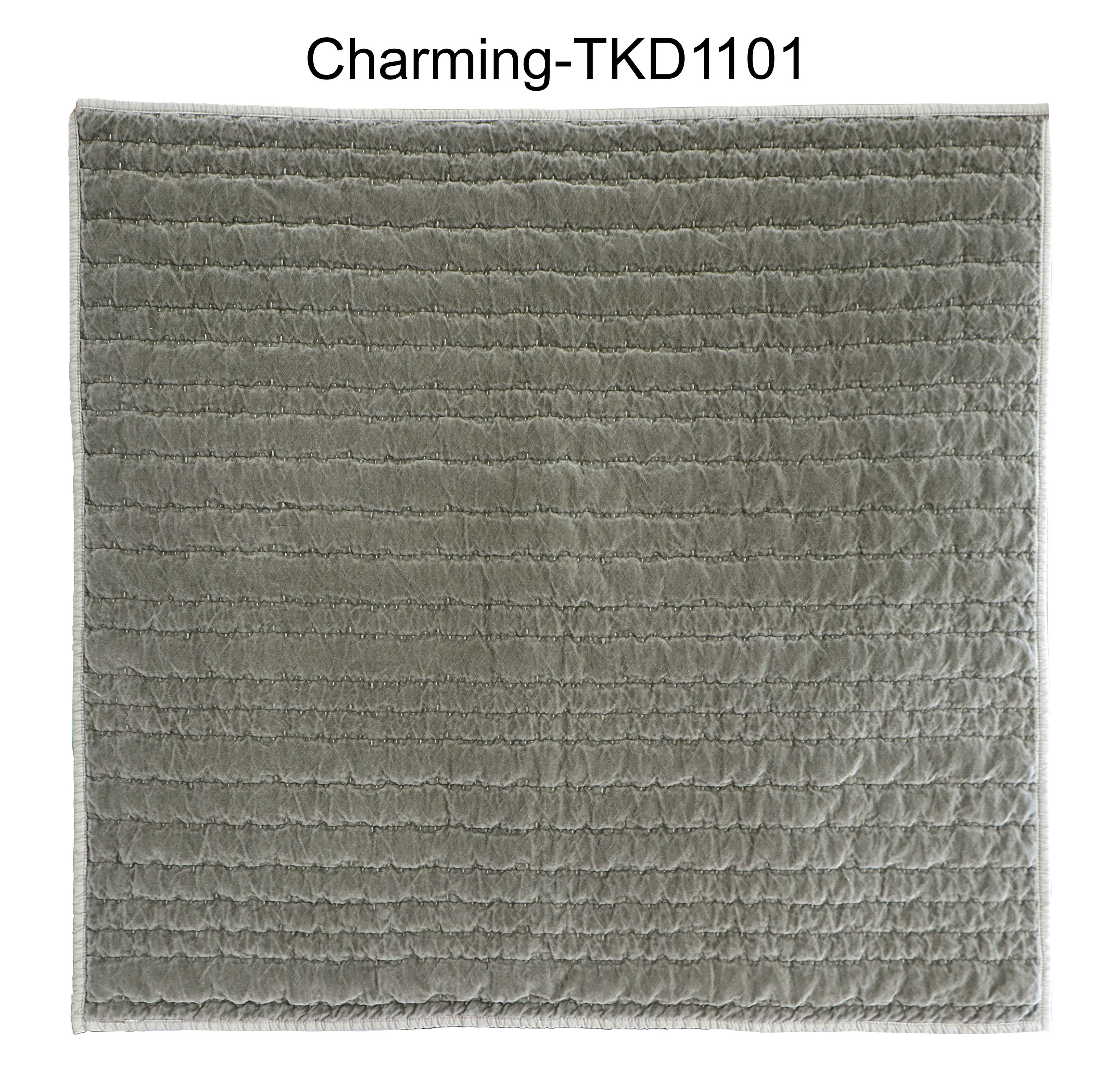 TKD1101