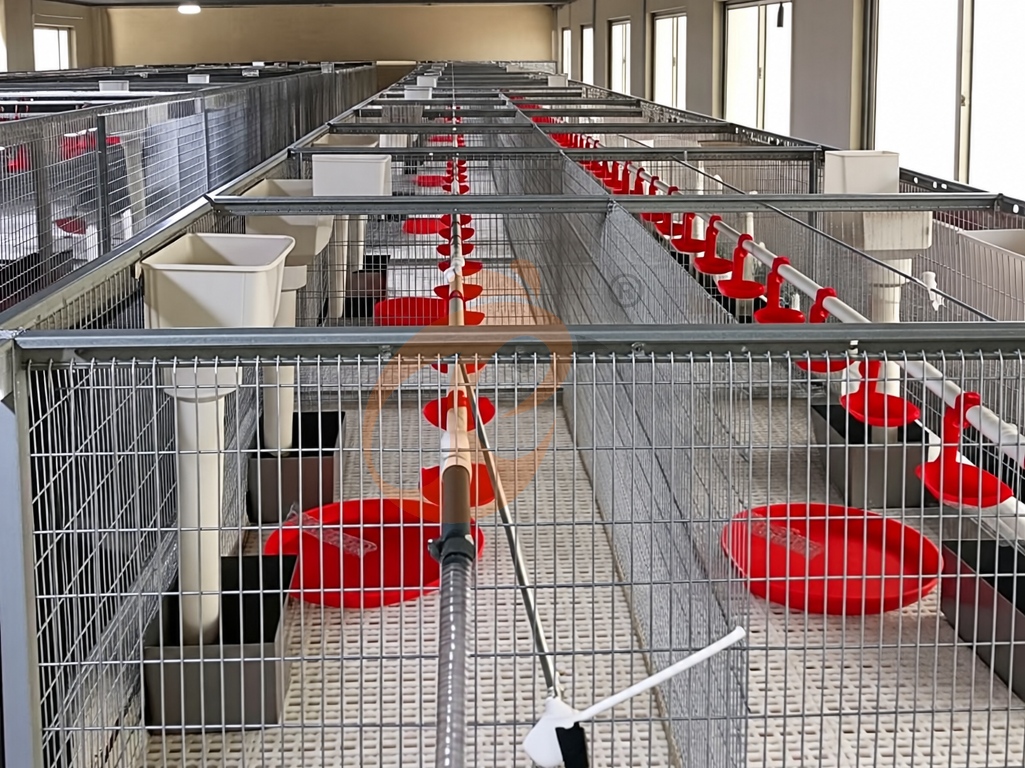How To Plan Poultry Farm Equipment Budget | 6 Key Factors How To Plan Poultry Farm Equipment Budget | 6 Key Factors