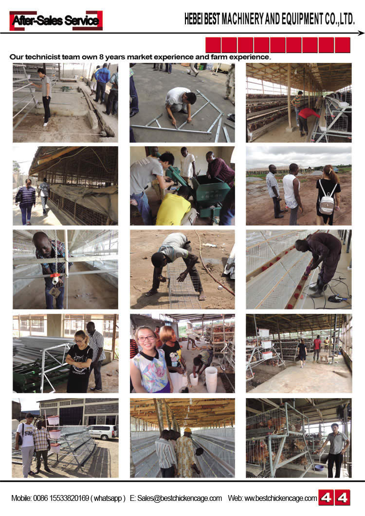BEST Workers After-Service-In-African-Fa