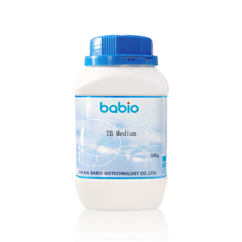 وسط TB (مرق تيريفيك)