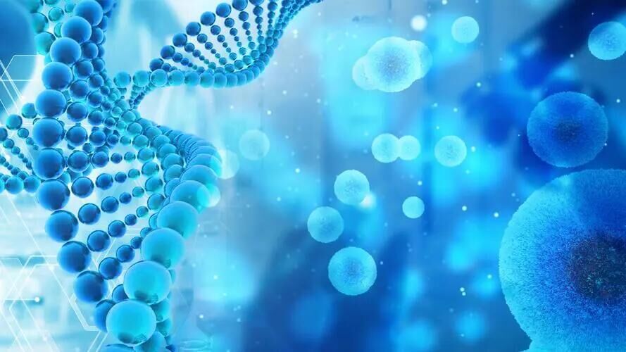 مجموعة اختبار الأجسام المضادة لفيروس قلة الكريات البيضاء لدى القطط للفحص البيطري